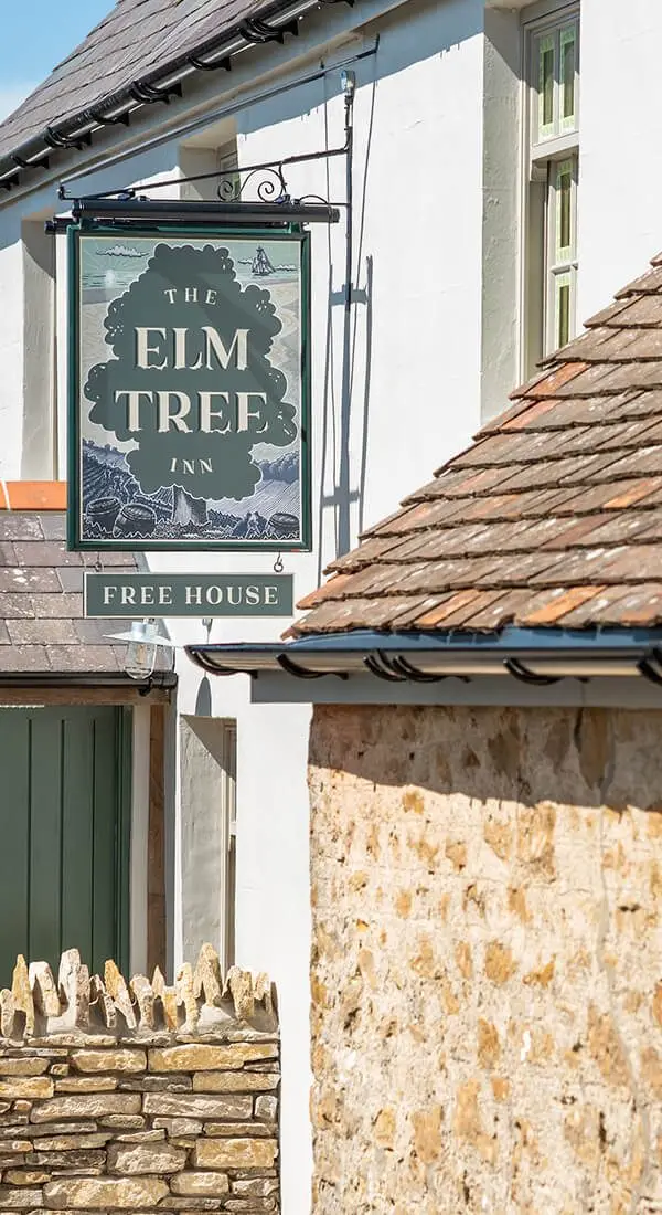 Elm Tree 2
