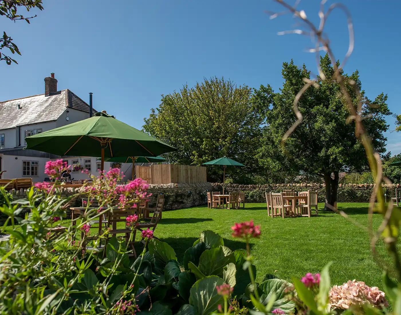 The Elm Tree Garden