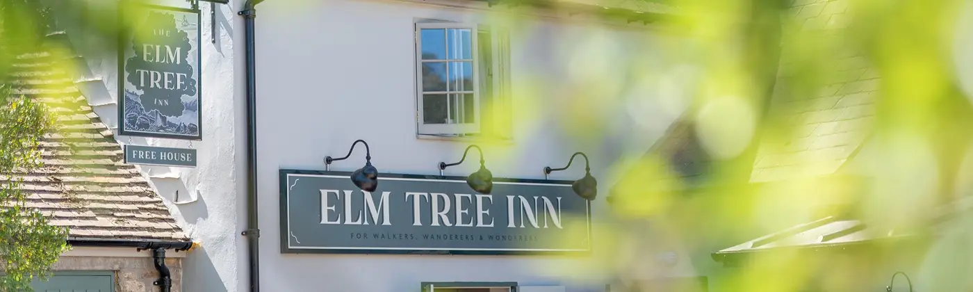 Elm Tree Slider 2