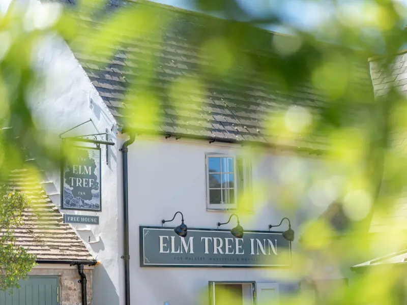 Elm Tree Sign