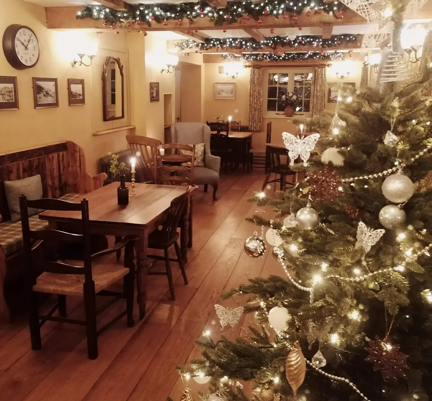xmas elm tree 2