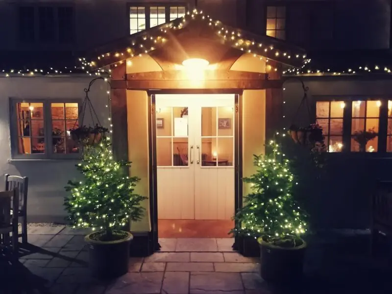 elm tree xmas 21 2
